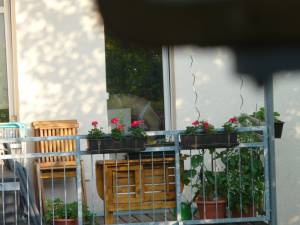 Spying German Girl Next Door (221 Photos)f7clla5myc.jpg