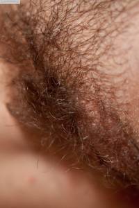 Hairy-Beauties-In-Bed-With-RILEY-%5Bx328%5D-e7da38ao4u.jpg
