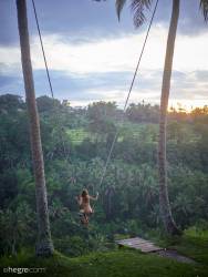 Clover Ubud Bali Swing - 62 pictures - 14204px-37d12wt3h4.jpg