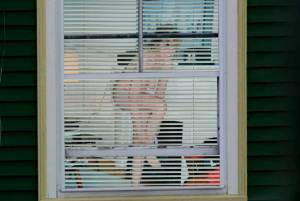 window peeping-g7d2ev1xw0.jpg