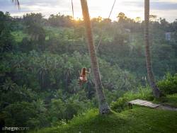 Clover-Ubud-Bali-Swing-62-pictures-14204px-w7d31vfw7t.jpg