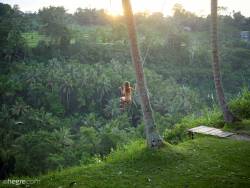 Clover Ubud Bali Swing - 62 pictures - 14204px 37d723uzx6.jpg