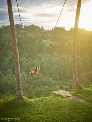 Clover-Ubud-Bali-Swing-62-pictures-14204px--s7d724caoj.jpg