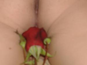 Red Rose (94 Pics)-27dp4dx7vm.jpg