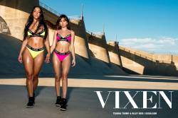 Vixen Riley Reid Teanna Trump - Hot Girl Summer - 94x-17e807qh02.jpg