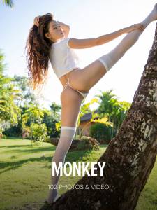 Irene Rouse - Monkey -h7kuftkno1.jpg