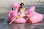 Kaitlin in My Pink Flamingoo7hopgqyc4.jpg