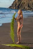 Casey - Palm Fronds-r7hewh2stc.jpg